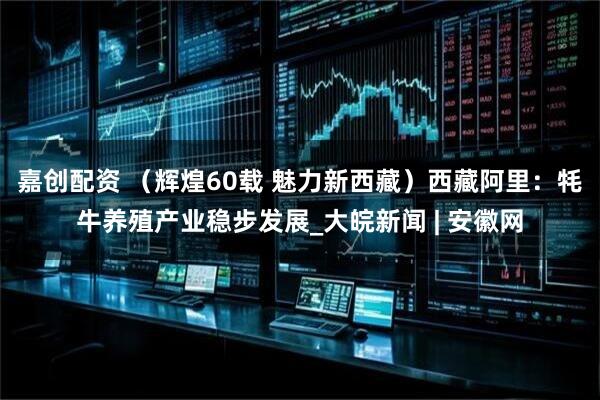 嘉创配资 （辉煌60载 魅力新西藏）西藏阿里：牦牛养殖产业稳步发展_大皖新闻 | 安徽网