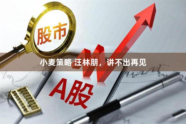 小麦策略 汪林朋，讲不出再见